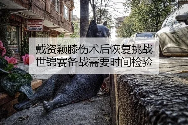 dai-zi-ying-xi-shang-shu-hou-hui-fu-tiao-zhan-shi-jin-sai-bei-zhan-xu-yao-shi-jian-jian-yan-2-466.jpg